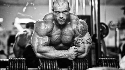 Boldenone: An In-Depth Look at a Popular Anabolic Steroid Boldenone: An In-Depth Look at a Popular Anabolic Steroid